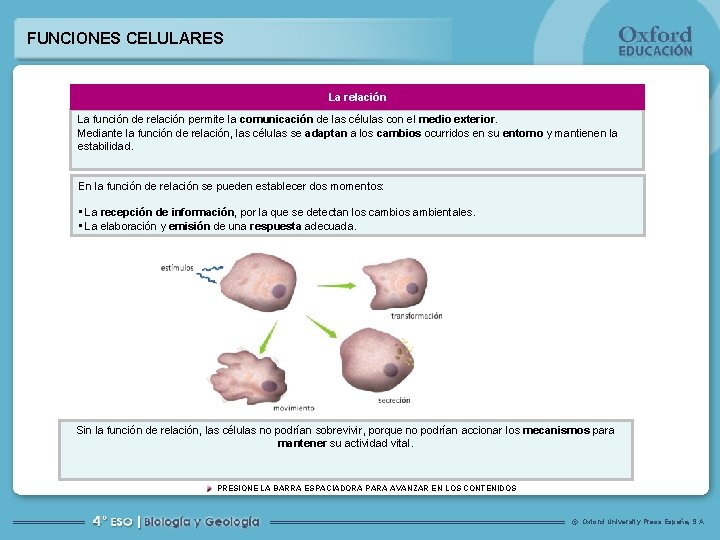 FUNCIONES CELULARES La relación La función de relación permite la comunicación de las células