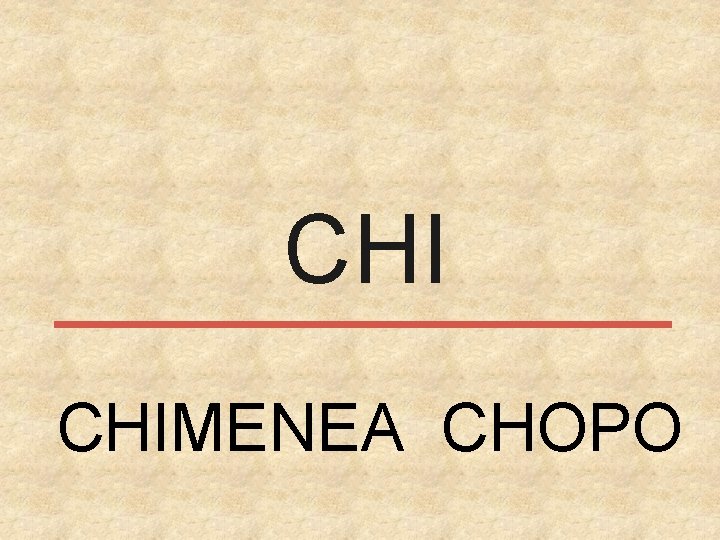CHI CHIMENEA CHOPO 