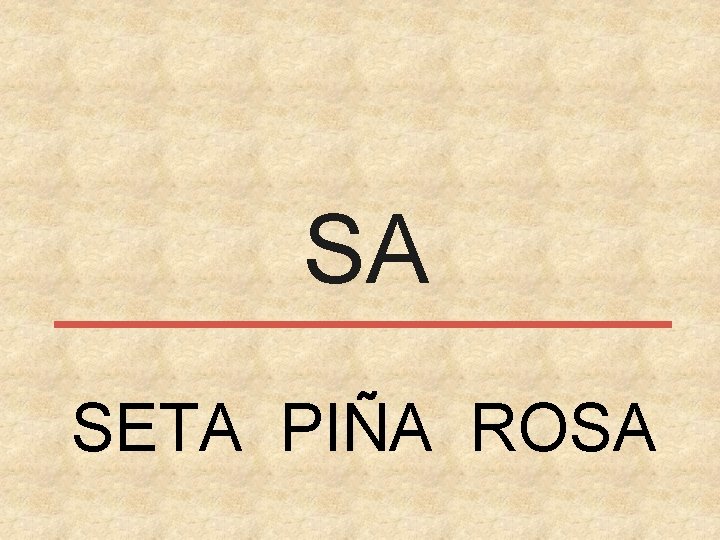 SA SETA PIÑA ROSA 