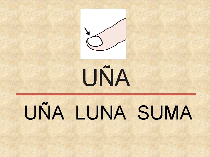 UÑA LUNA SUMA 