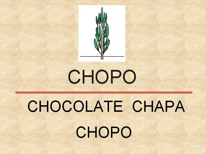 CHOPO CHOCOLATE CHAPA CHOPO 