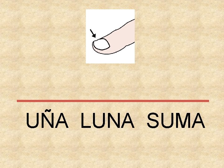 UÑA LUNA SUMA 