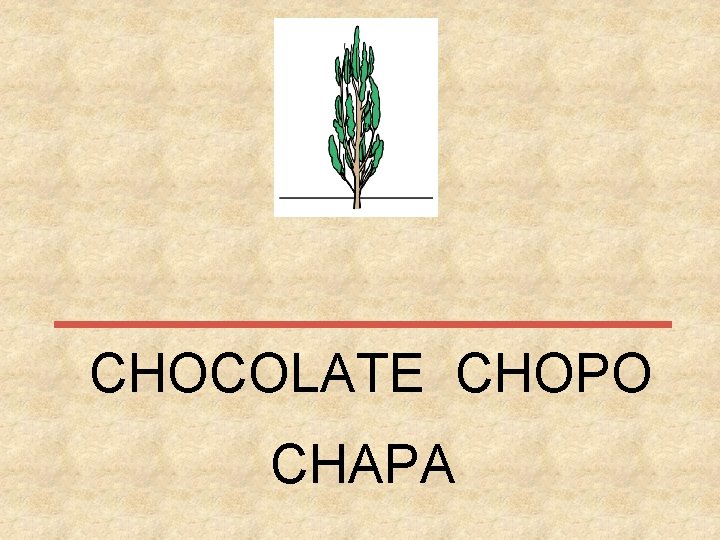 CHOCOLATE CHOPO CHAPA 