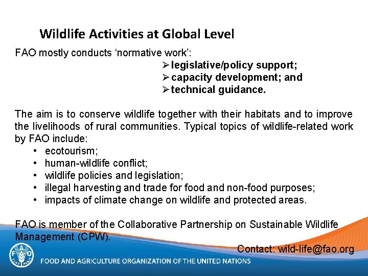 Wildlife Activities at Global Level FAO mostly conducts ‘normative work’: Ø legislative/policy support; Ø