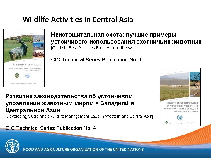 Wildlife Activities in Central Asia Неистощительная охота: лучшие примеры устойчивого использования охотничьих животных [Guide
