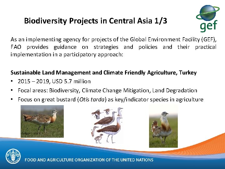 Biodiversity Projects in Central Asia 1/3 As an implementing agency for projects of the