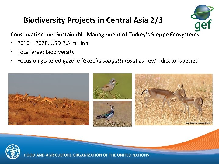 Biodiversity Projects in Central Asia 2/3 Conservation and Sustainable Management of Turkey’s Steppe Ecosystems