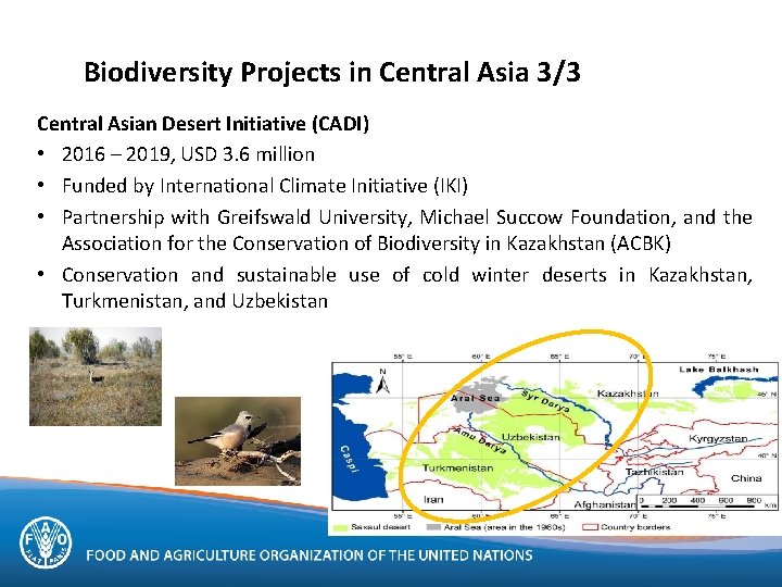 Biodiversity Projects in Central Asia 3/3 Central Asian Desert Initiative (CADI) • 2016 –