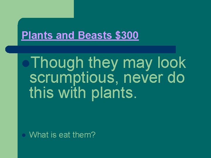 Plants and Beasts $300 l. Though they may look scrumptious, never do this with