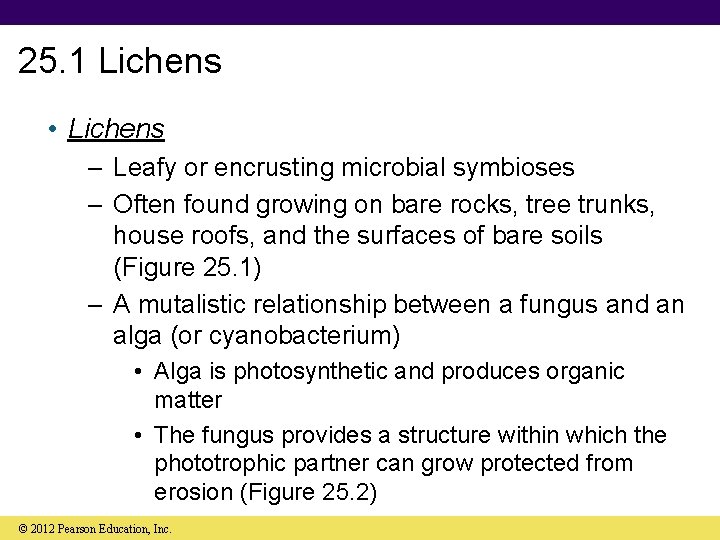 25. 1 Lichens • Lichens – Leafy or encrusting microbial symbioses – Often found