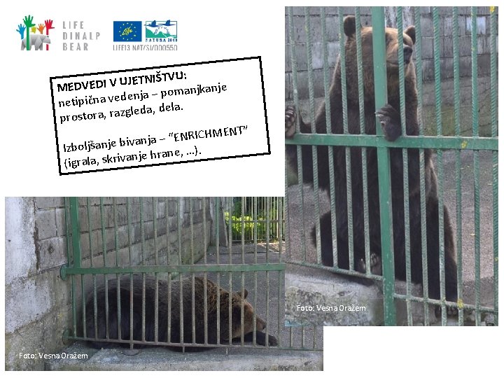 TNIŠTVU: E J U V I D E V MED anjkanje m o p TNIŠTVU: E J U V I D E V MED anjkanje m o p