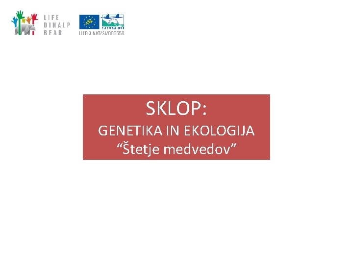SKLOP: GENETIKA IN EKOLOGIJA “Štetje medvedov” SKLOP: GENETIKA IN EKOLOGIJA “Štetje medvedov”
