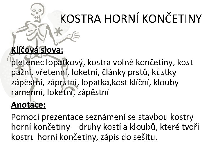 KOSTRA HORNÍ KONČETINY Klíčová slova: pletenec lopatkový, kostra volné končetiny, kost pažní, vřetenní, loketní,