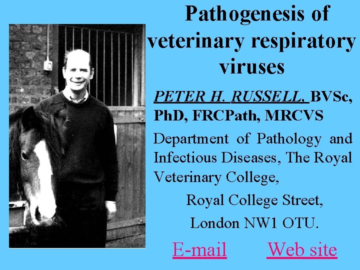 Pathogenesis of veterinary respiratory viruses PETER H RUSSELL