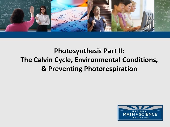 Photosynthesis Part II: The Calvin Cycle, Environmental Conditions, & Preventing Photorespiration 