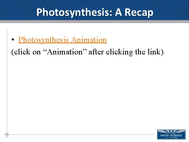 Photosynthesis: A Recap • Photosynthesis Animation (click on “Animation” after clicking the link) 16