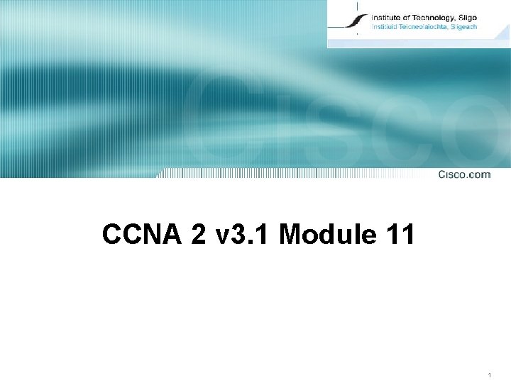 CCNA 2 v 3. 1 Module 11 1 