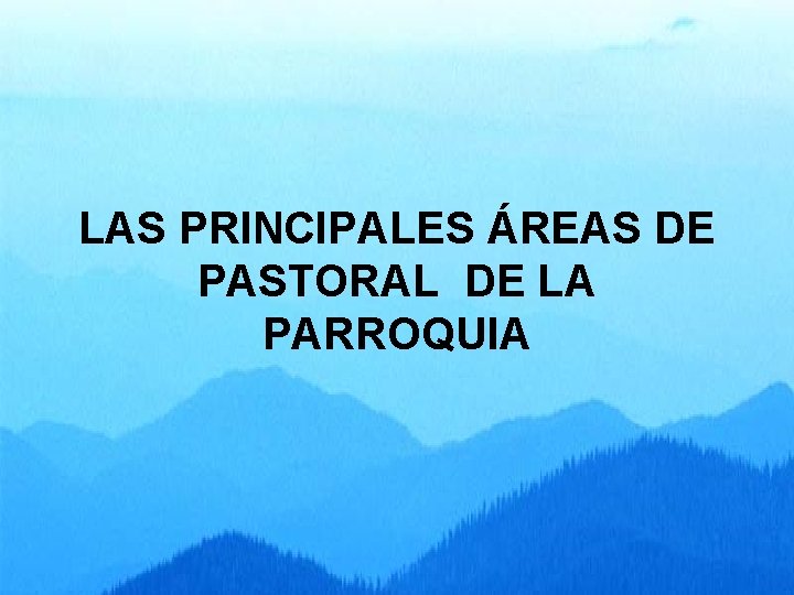 LAS PRINCIPALES ÁREAS DE PASTORAL DE LA PARROQUIA 