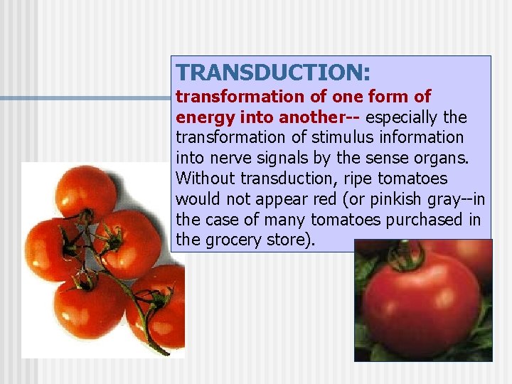 TRANSDUCTION: transformation of one form of energy into another-- especially the transformation of stimulus