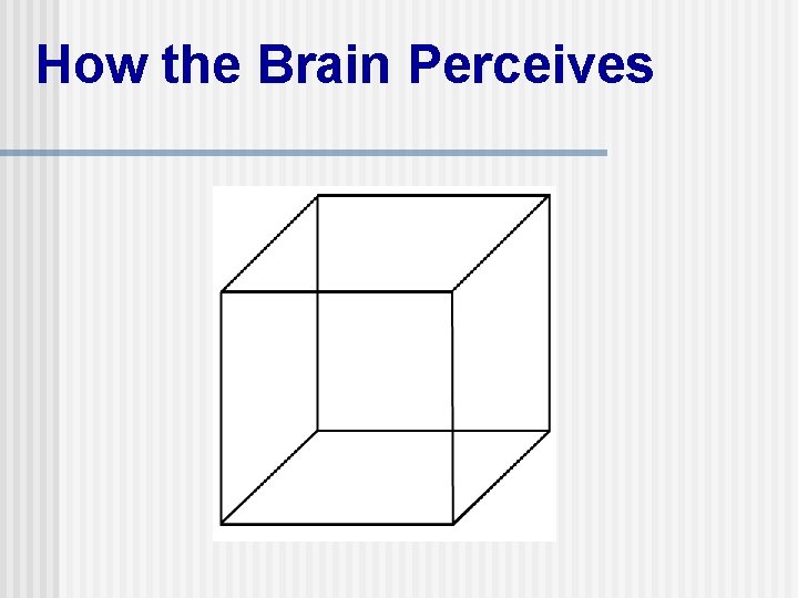 How the Brain Perceives 