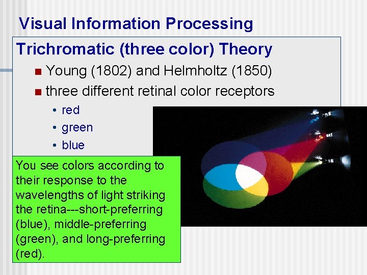 Visual Information Processing Trichromatic (three color) Theory Young (1802) and Helmholtz (1850) n three