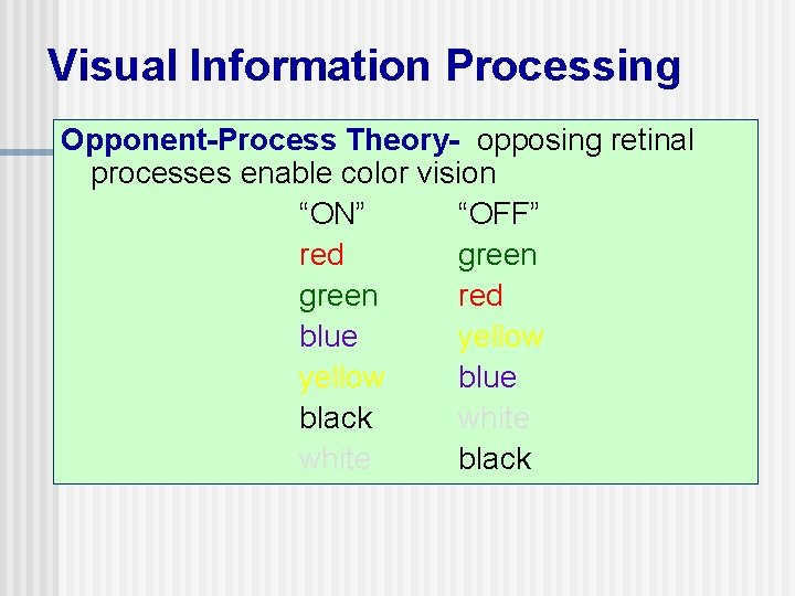 Visual Information Processing Opponent-Process Theory- opposing retinal processes enable color vision “ON” “OFF” red