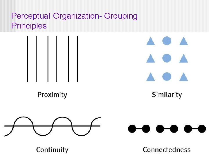 Perceptual Organization- Grouping Principles 