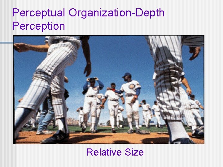 Perceptual Organization-Depth Perception Relative Size 