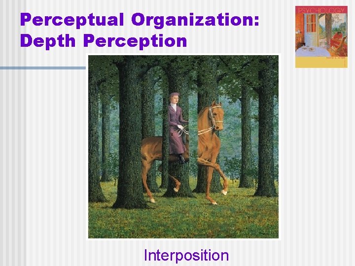 Perceptual Organization: Depth Perception Interposition 