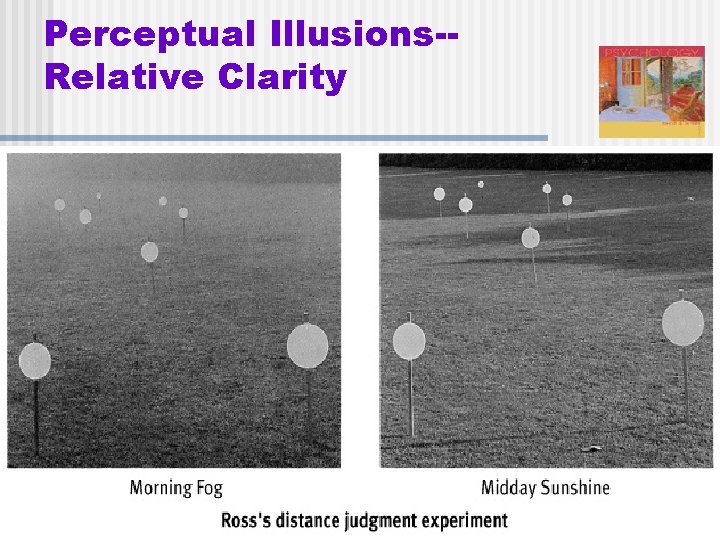 Perceptual Illusions-Relative Clarity 