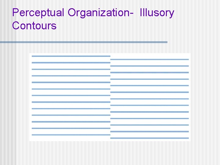 Perceptual Organization- Illusory Contours 