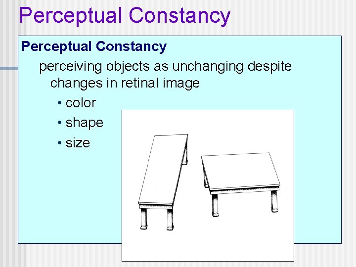 Perceptual Constancy perceiving objects as unchanging despite changes in retinal image • color •