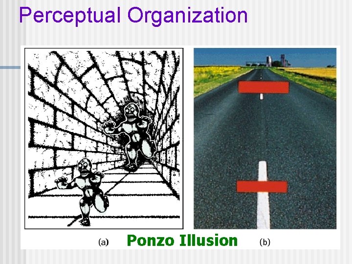 Perceptual Organization Ponzo Illusion 