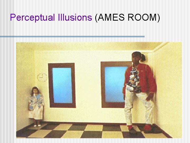 Perceptual Illusions (AMES ROOM) 