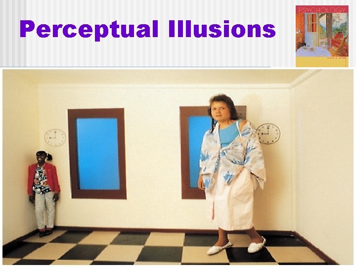 Perceptual Illusions 