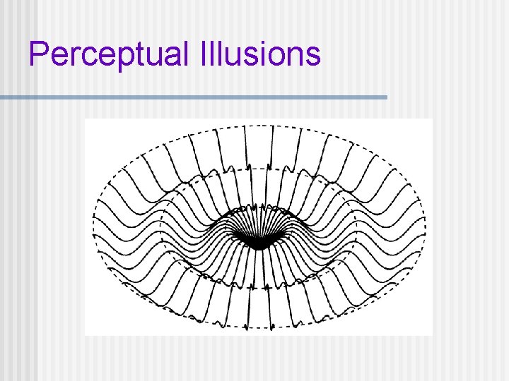 Perceptual Illusions 