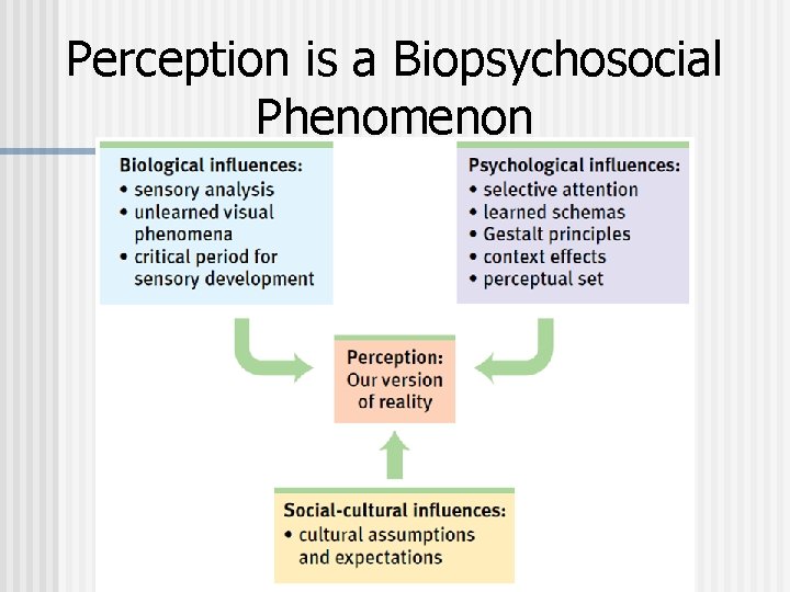 Perception is a Biopsychosocial Phenomenon 
