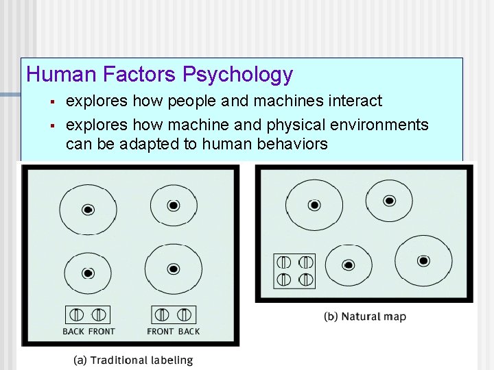 Perception and the Human Factors Psychology § § explores how people and machines interact
