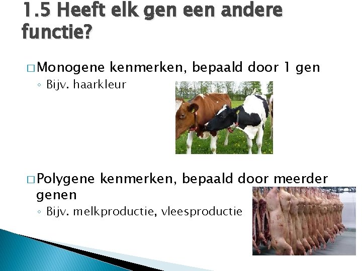 1. 5 Heeft elk gen een andere functie? � Monogene kenmerken, bepaald door 1