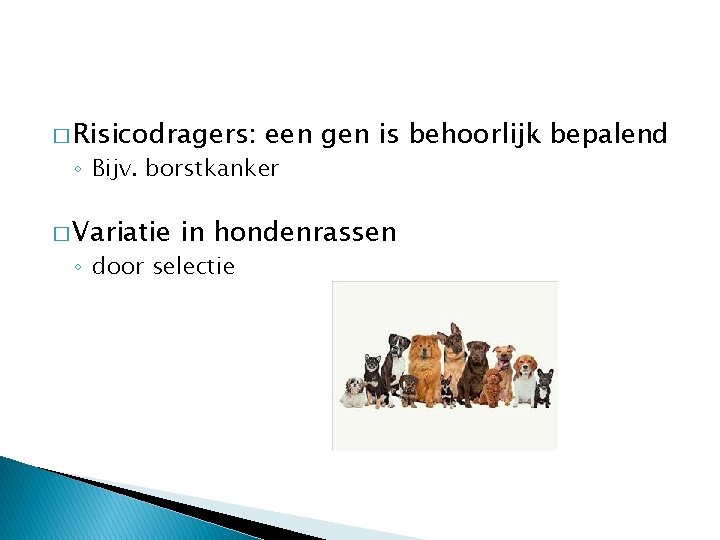 � Risicodragers: een gen is behoorlijk bepalend ◦ Bijv. borstkanker � Variatie in hondenrassen