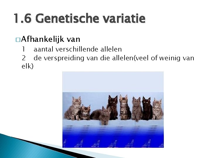 1. 6 Genetische variatie � Afhankelijk van 1 aantal verschillende allelen 2 de verspreiding