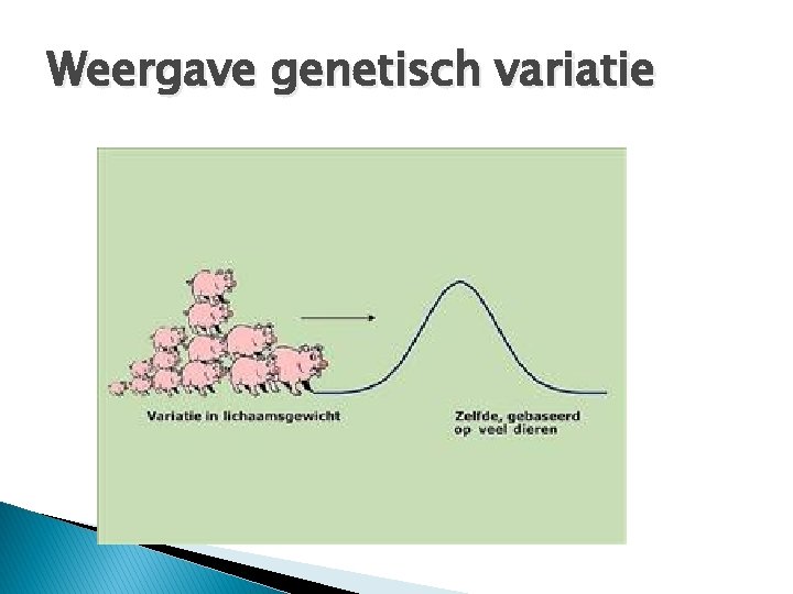 Weergave genetisch variatie 