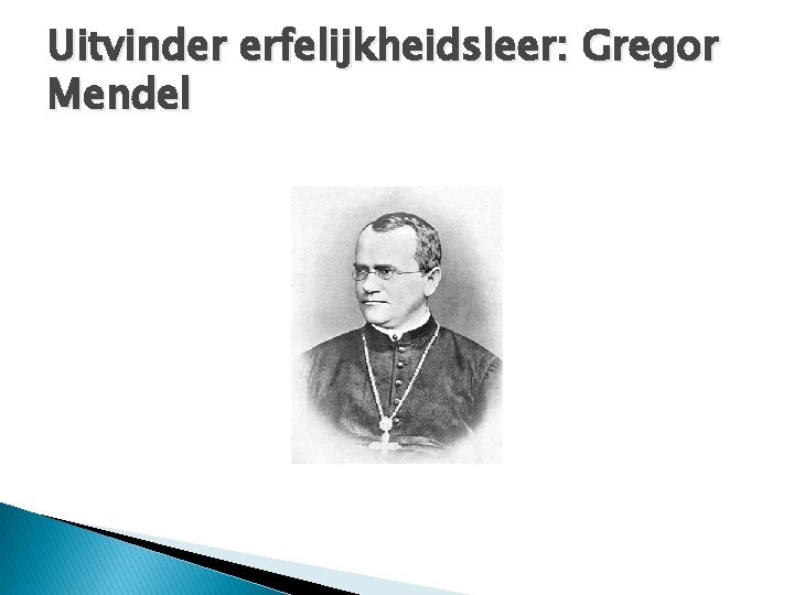 Uitvinder erfelijkheidsleer: Gregor Mendel 