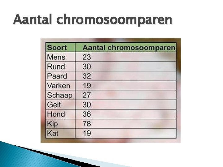 Aantal chromosoomparen 