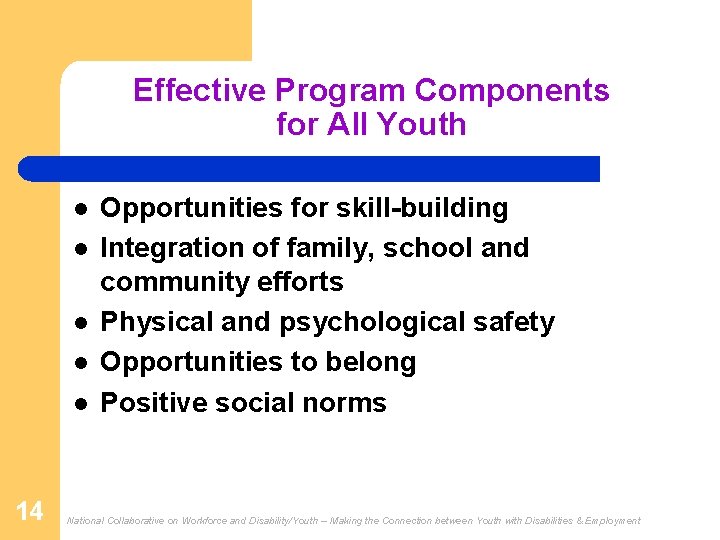 Effective Program Components for All Youth l l l 14 Opportunities for skill-building Integration