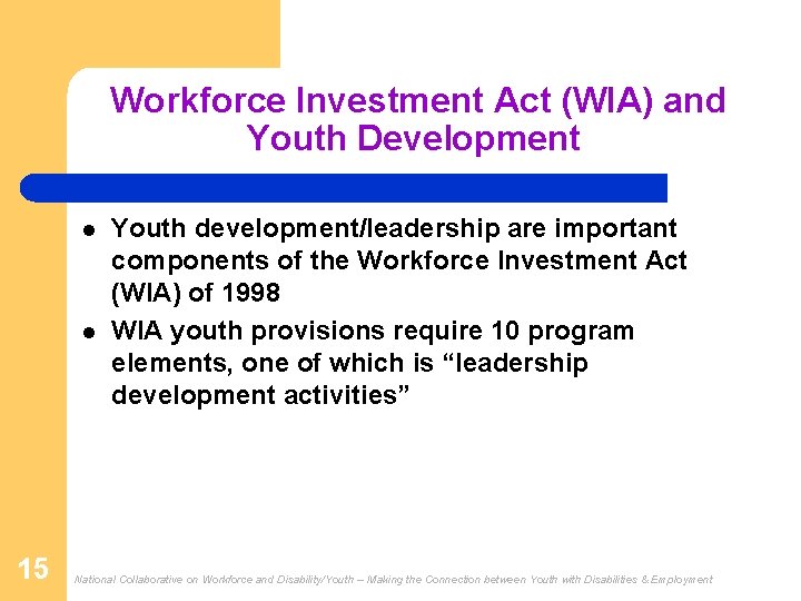  Workforce Investment Act (WIA) and Youth Development l l 15 Youth development/leadership are
