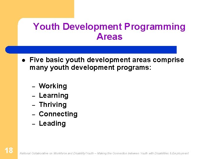 Youth Development Programming Areas l Five basic youth development areas comprise many youth development