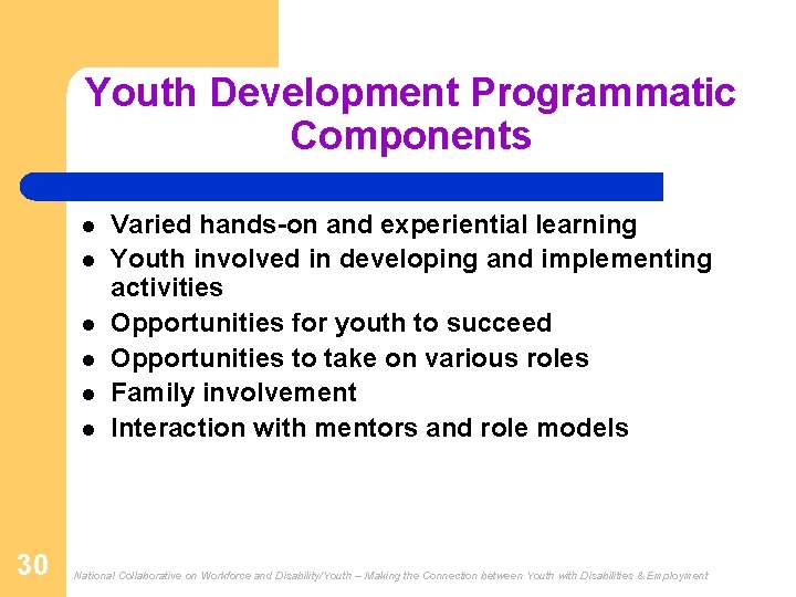 Youth Development Programmatic Components l l l 30 Varied hands-on and experiential learning Youth