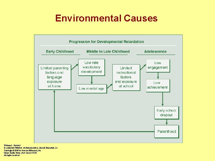 Environmental Causes William L. Heward Exceptional Children: An Introduction to Special Education , 8