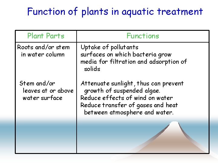Function of plants in aquatic treatment Plant Parts Functions Roots and/or stem in water